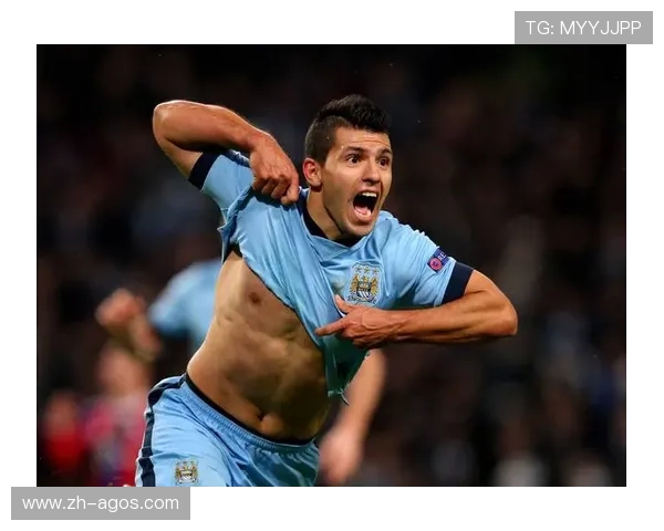 阿圭罗英超进球记录及其面对各球队的表现分布